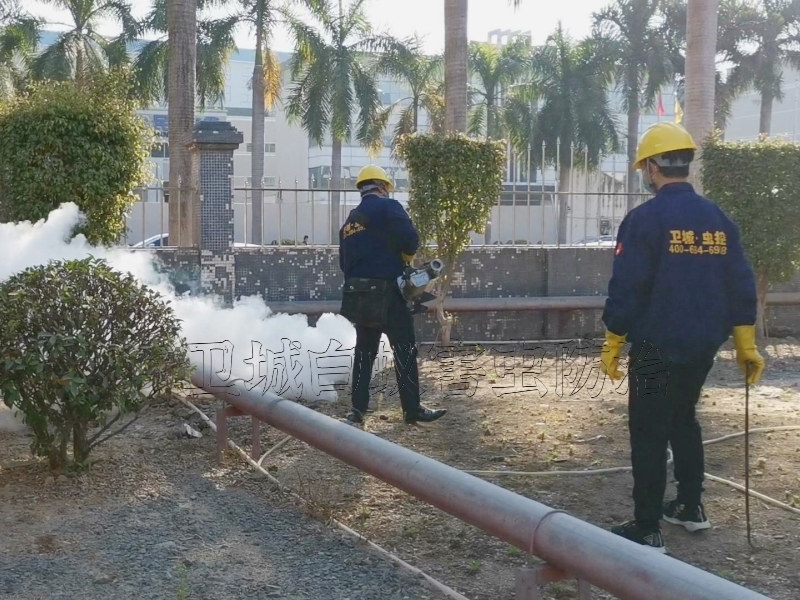 黄江工厂杀虫除四害，常平灭鼠灭蚊，谢岗白蚁防治